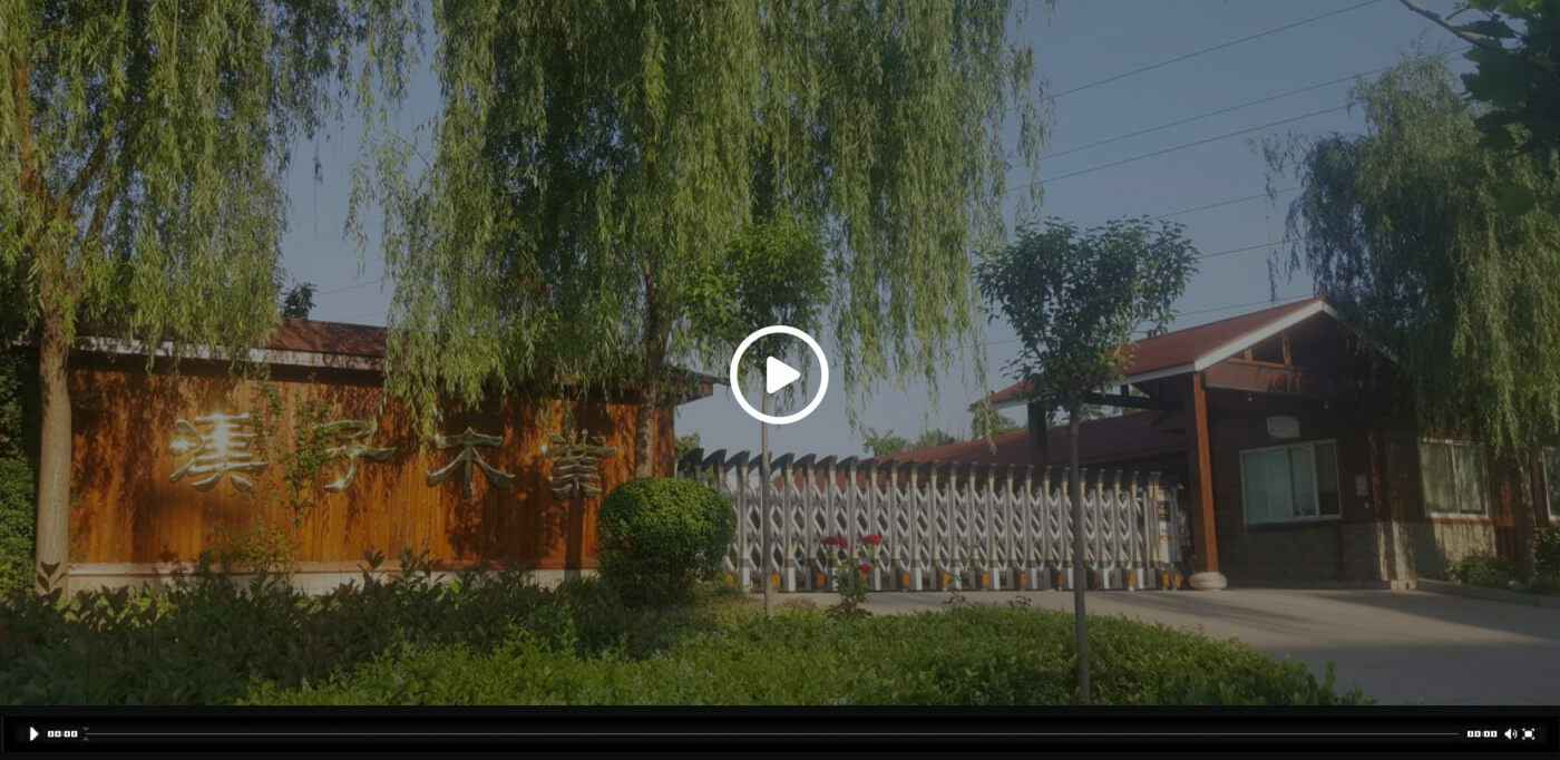 开云手机端入口官方网站-开云(中国)